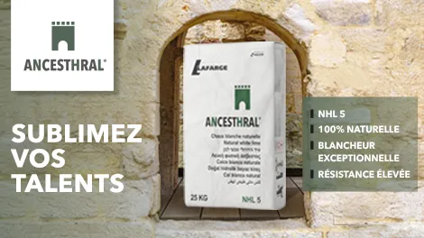 02_vignette_ancesthral_gif_laf_470x264_v3 cover