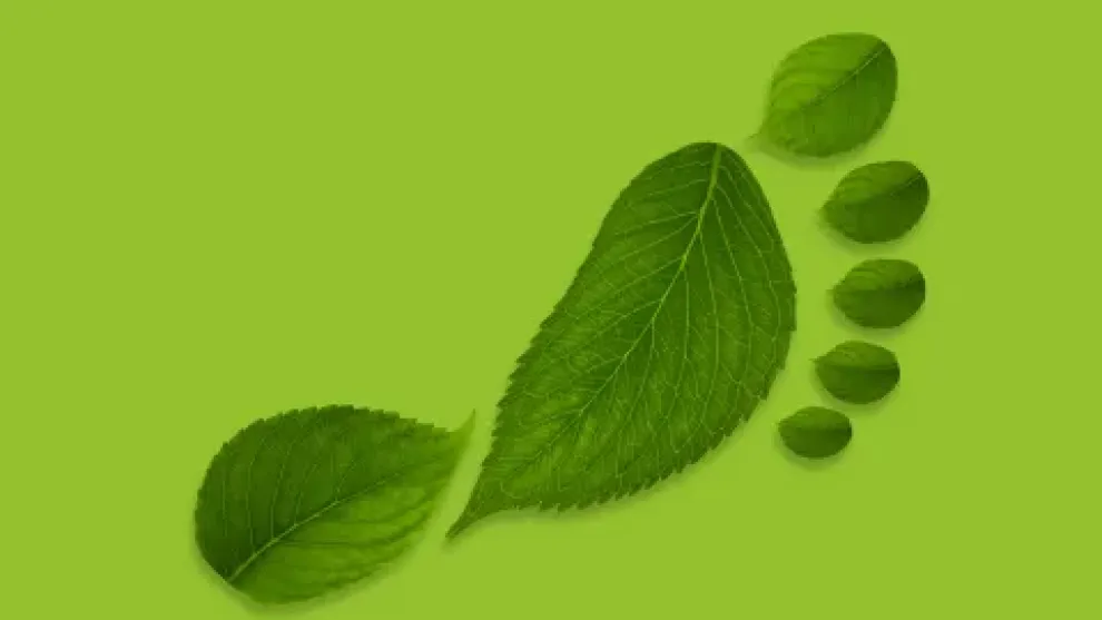 leaf-footprint.jpg