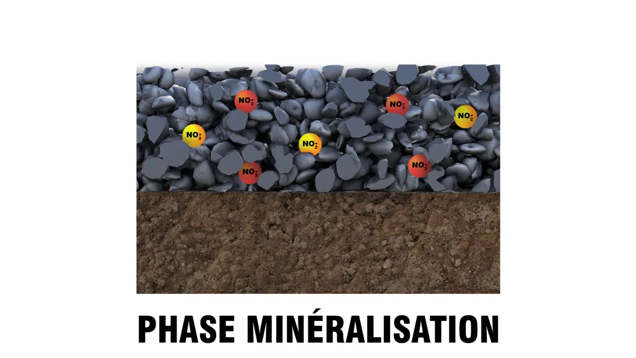 hydromedia-phase-b-mineralisation-250225.jpg