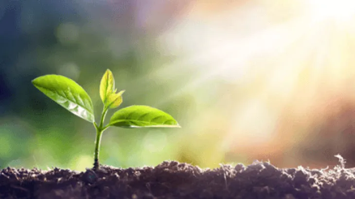 Carbonate de calcium